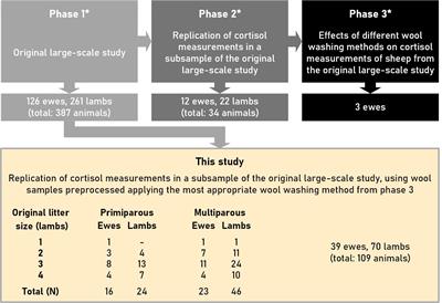 Wool cortisol as putative retrospective indicator of stress in ewes during the third trimester of pregnancy, and their newborns: effects of parity and litter size — an exploratory study